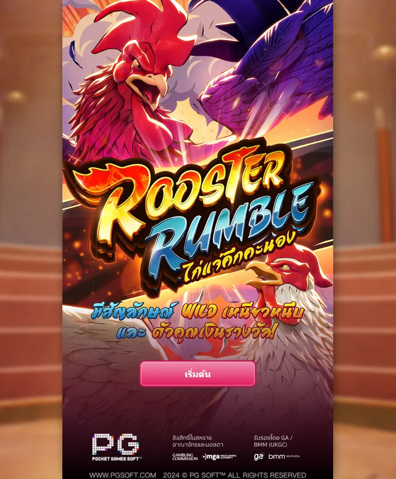 รีวิวเกม Rooster Rumble