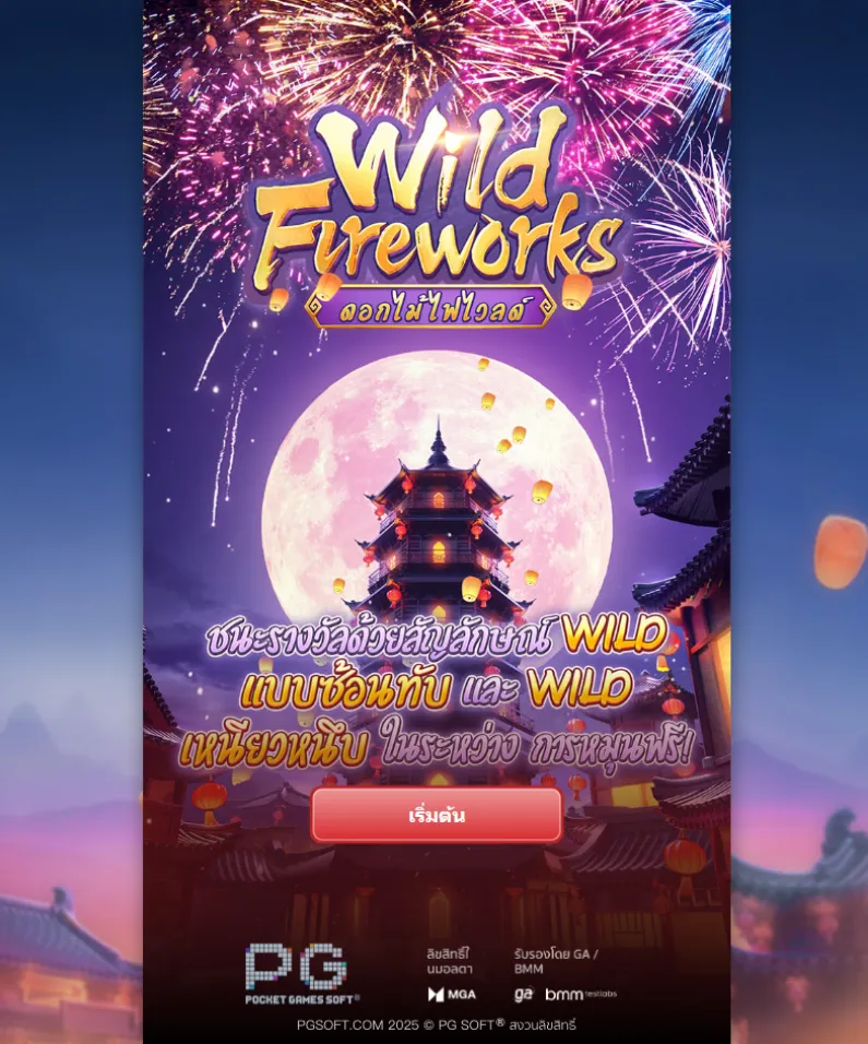 รีวิวเกม Wild Fireworks
