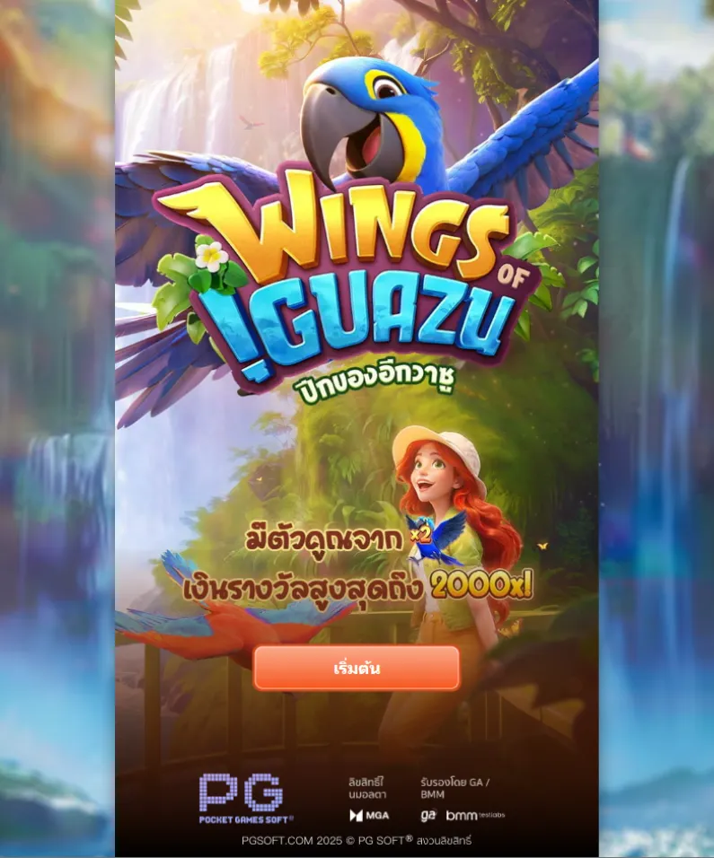 รีวิวเกม Wings of Iguazu