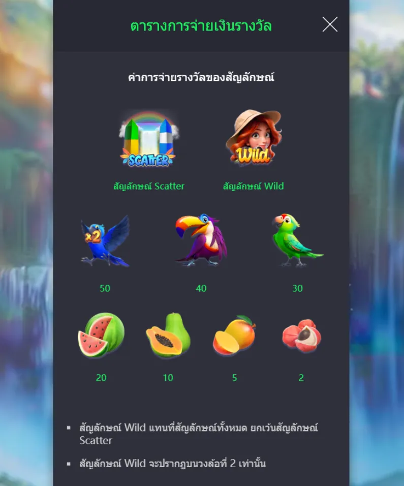 รีวิวเกม Wings of Iguazu