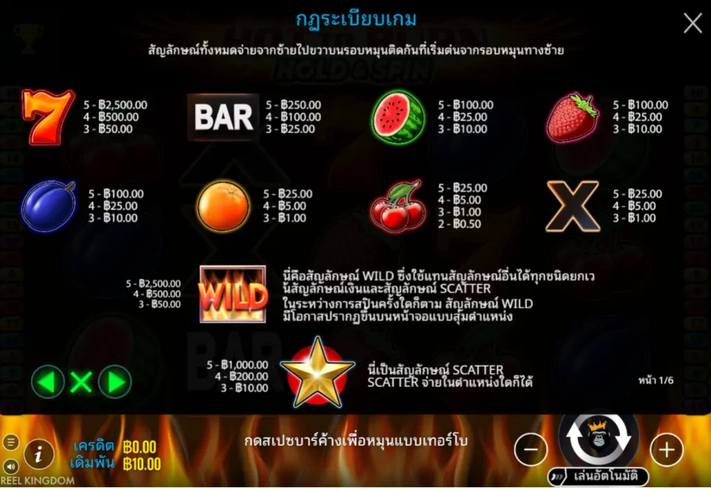 รีวิวเกม Hot to Burn Hold and Spin