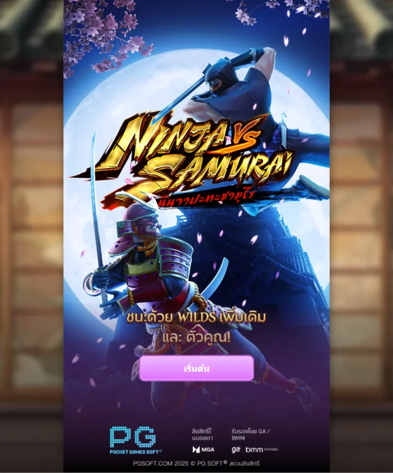 รีวิวเกม Ninja vs Samurai