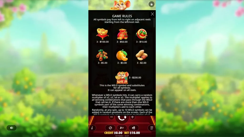 รีวิวเกม Lucky Mouse