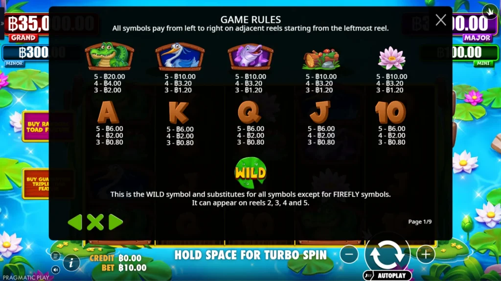 รีวิวเกม Tiny Toads