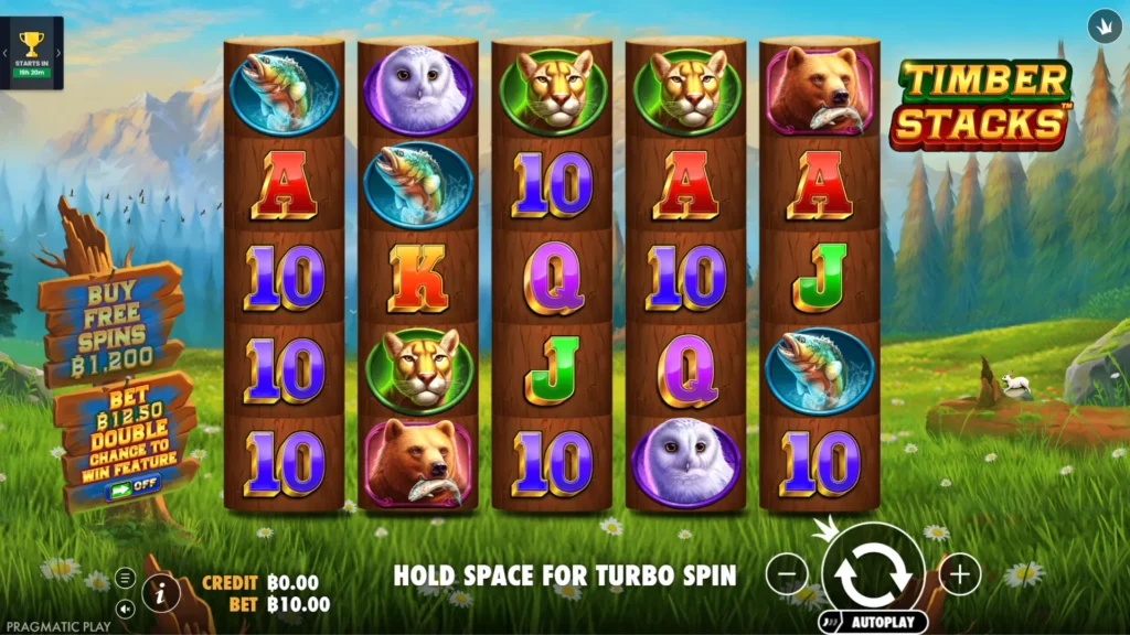 รีวิวเกม Timber Stacks