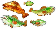 รีวิวเกม Big Bass Hold & Spinner Megaways