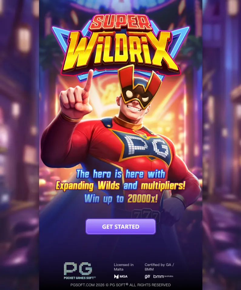 รีวิวเกม Super Wildrix